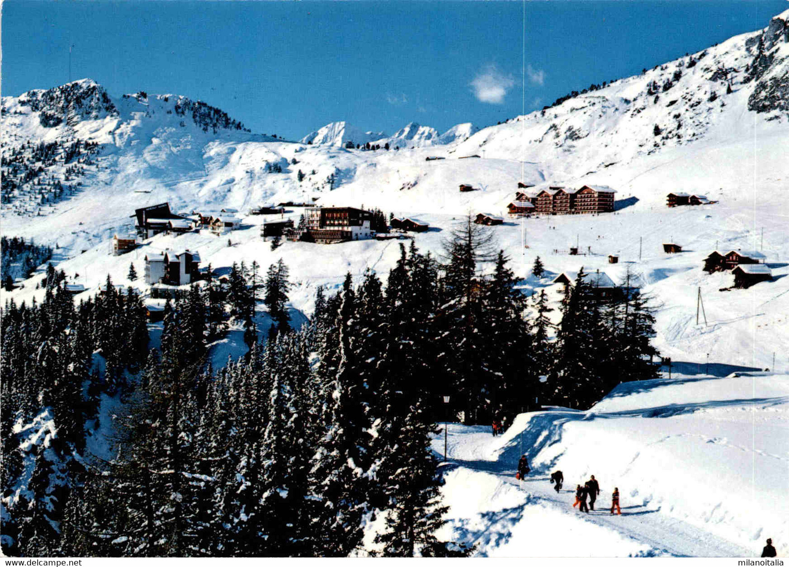 Riederalp (44670) - Riederalp