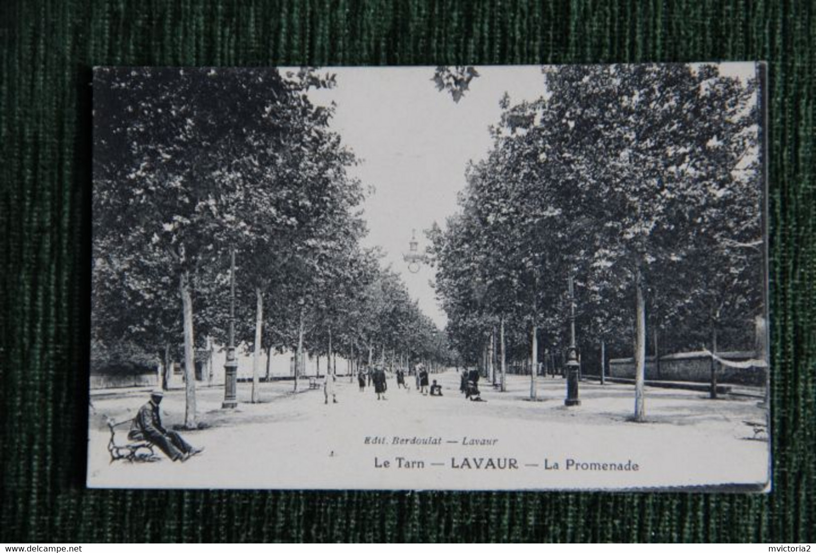 LAVAUR - La Promenade - Lavaur