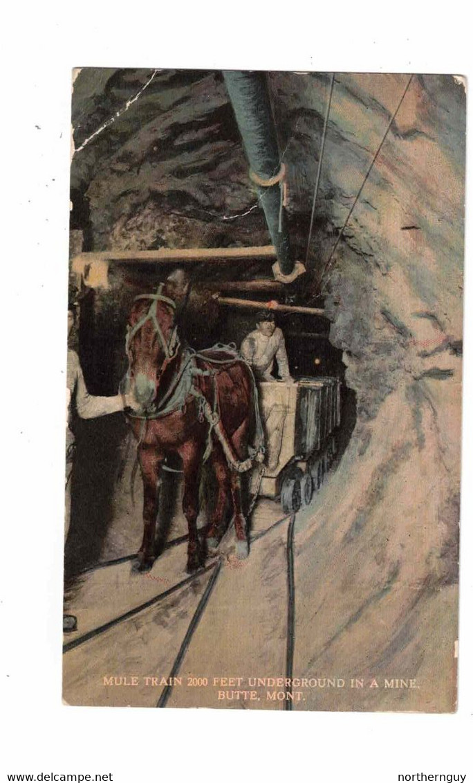 Butte, Montana, USA, "Mule Train 200 Feet Underground In A Mine, Butte, Mont." 1913 Postcard - Butte