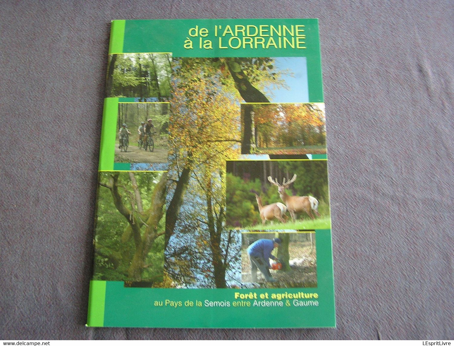 DE L'ARDENNE à LA LORRAINE Forêt Et Agriculture Régionalisme Semois Gaume Histoire Sidérurgie Nature Archéologie Vie - Belgique