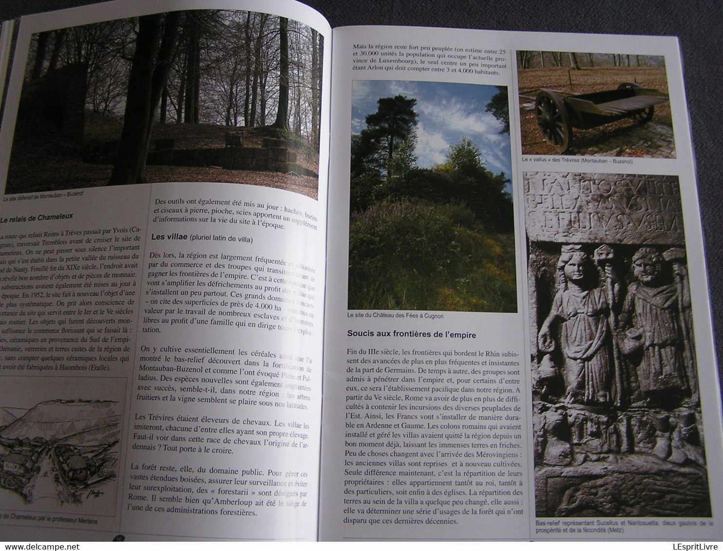 DE L'ARDENNE à LA LORRAINE Forêt et Agriculture Régionalisme Semois Gaume Histoire Sidérurgie Nature Archéologie Vie