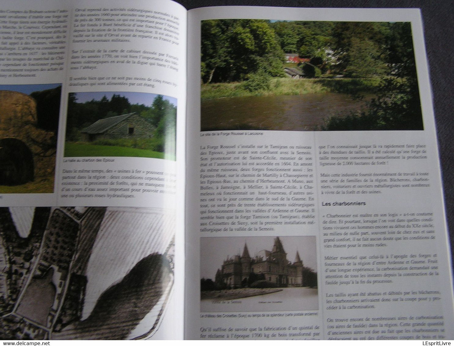 DE L'ARDENNE à LA LORRAINE Forêt et Agriculture Régionalisme Semois Gaume Histoire Sidérurgie Nature Archéologie Vie