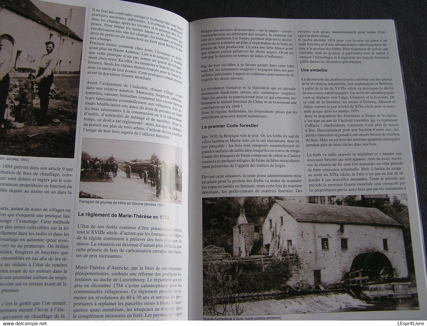 DE L'ARDENNE à LA LORRAINE Forêt et Agriculture Régionalisme Semois Gaume Histoire Sidérurgie Nature Archéologie Vie