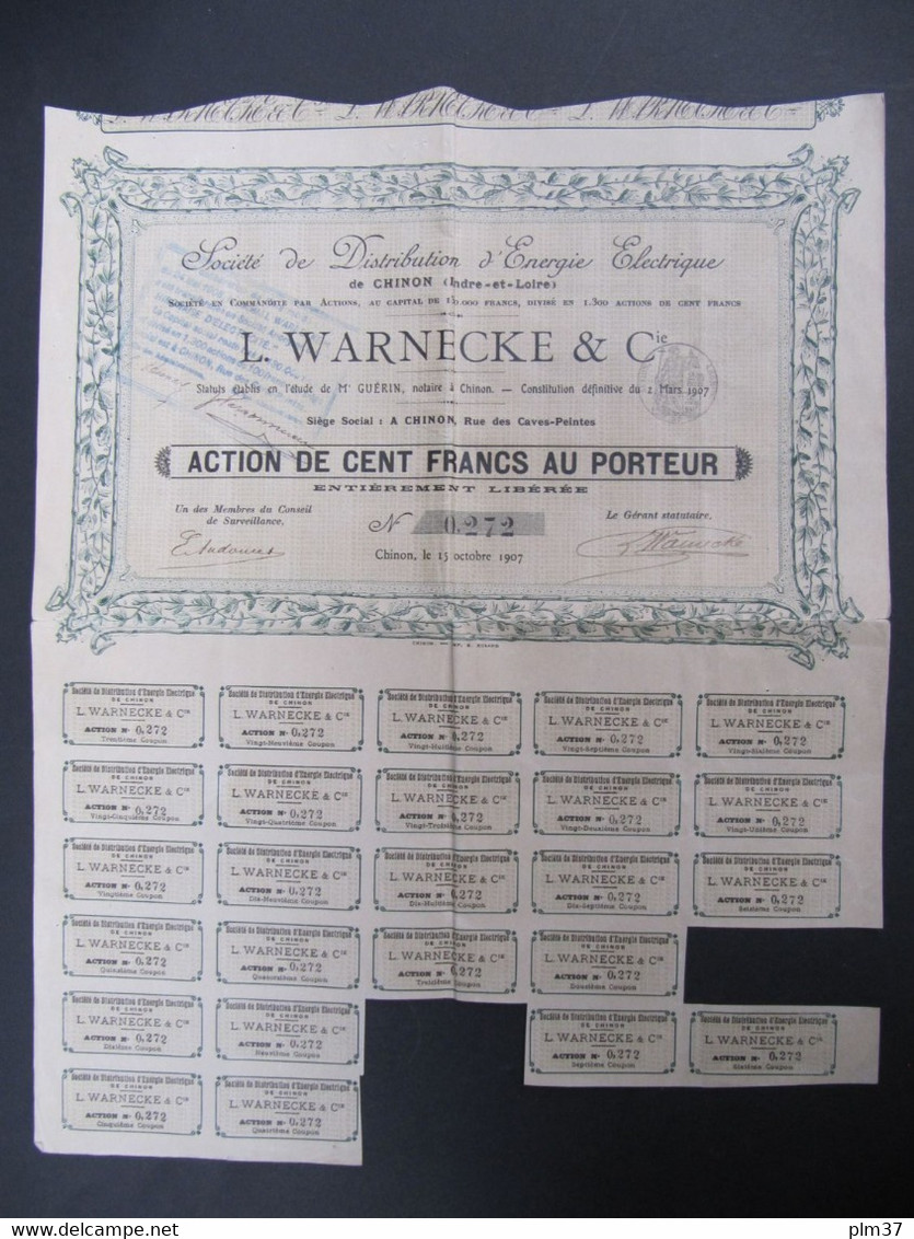 CHINON, 37 - Action De 100 Francs, 1907 - Distribution D'Energie Electrique L. WARNECKE & Cie - Electricité & Gaz