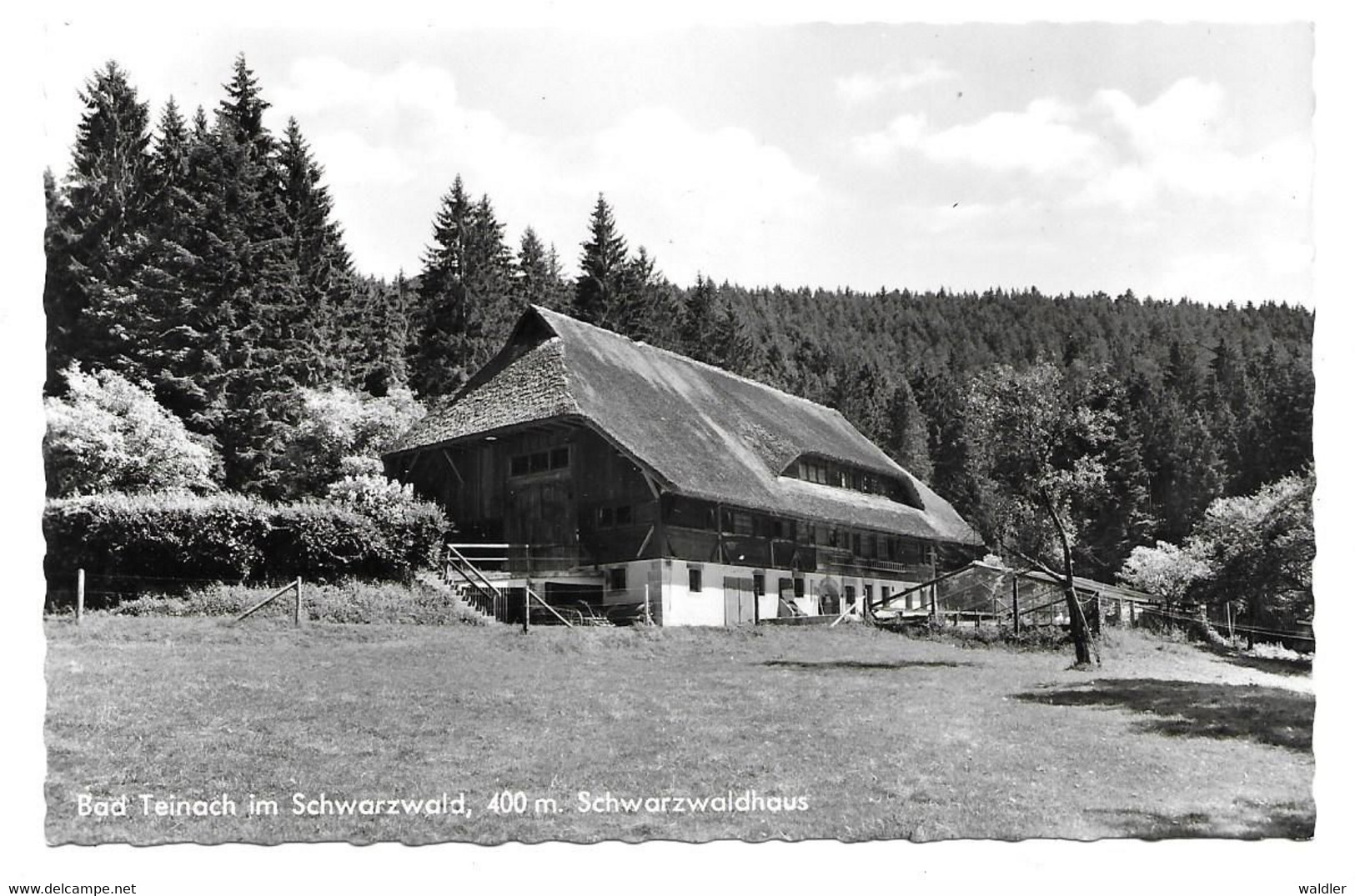 7267  BAD TEINACH / SCHWARZWALD, SCHWARZWALDHAUS - Bad Teinach