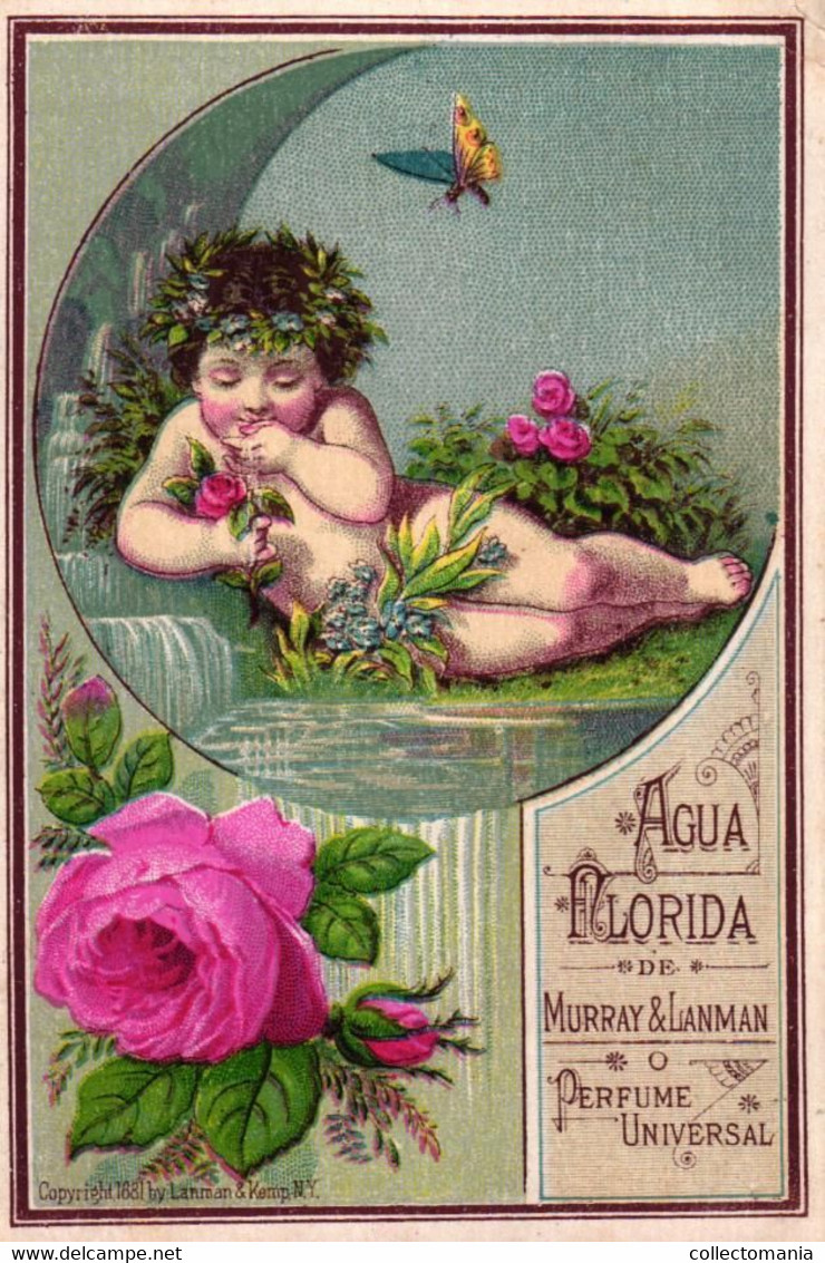 1 Card Agua Florida De Murray & Lanman Perfume Universal 1881 - Anciennes (jusque 1960)