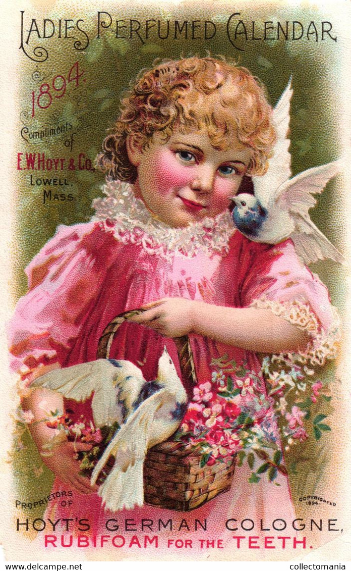 5  Cards Hoyt's German Cologne Perfume Calendar 1894 1892 - Antiquariat (bis 1960)