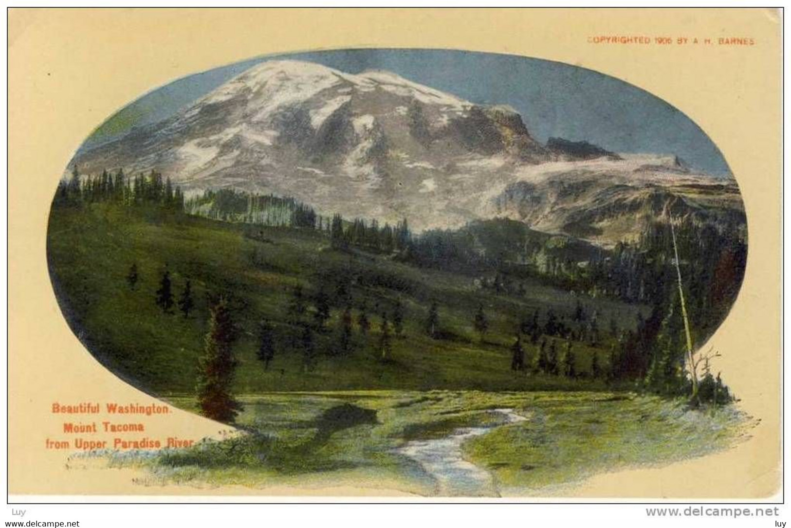 WASHINGTON State, 1906. Mount Tacoma, Mt. Rainier, Vulcano, Vulkan, Litho,  Old PC With Beautiful Landscape  00 - 10s - Tacoma