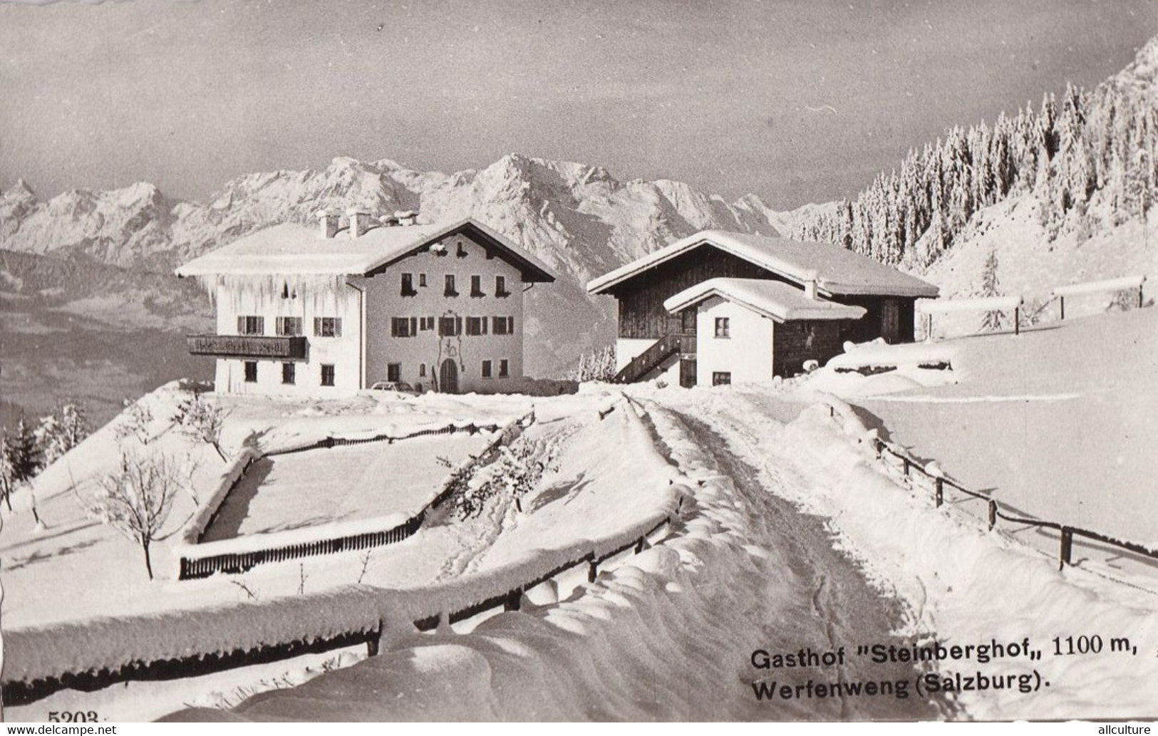 A2453 - Gasthof Steinberghof, Winter In Alps Mountain Werfenweng Salzburg Austria 1964 USED POSTCARD - Werfen