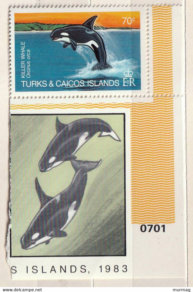 ILES TURQUES ET CAIQUES (Turks & Caicos Islands) - Faune, Requins - MNH - 1983 - Turks E Caicos