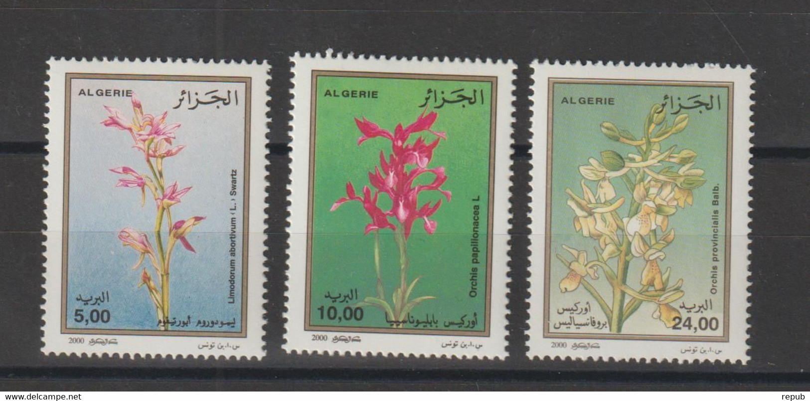 Algérie 2000 Fleurs Orchidées 1266-1268 3 Val ** MNH - Algérie (1962-...)