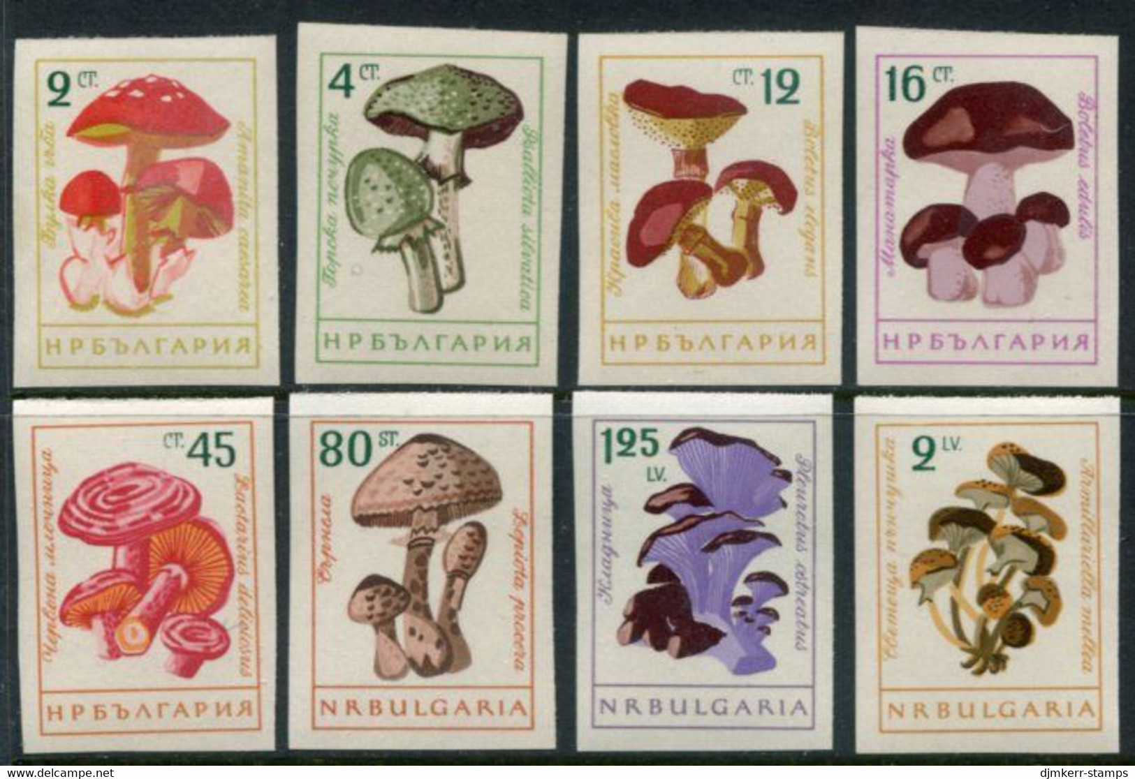 BULGARIA 1961 Fungi Imperforate MNH / **.  Michel 1271-78 - Unused Stamps