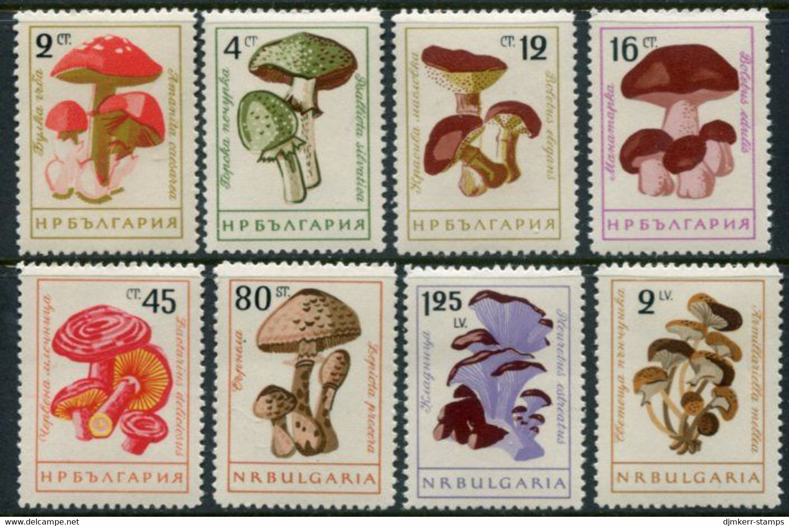 BULGARIA 1961 Fungi Perforated MNH / **.  Michel 1263-70 - Nuovi