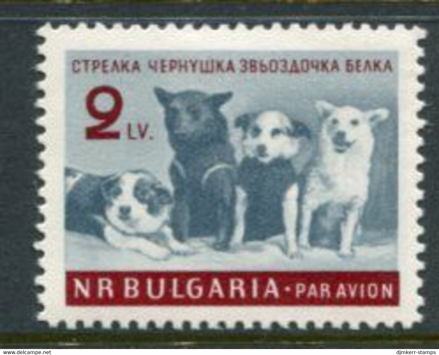 BULGARIA 1961 Dogs In Space MNH / **.  Michel 1249 - Ungebraucht