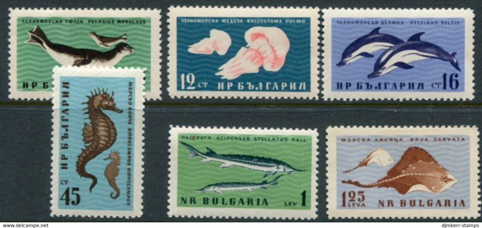 BULGARIA 1961 Black Sea Marine Fauna MNH / **.  Michel 1243-48 - Nuevos