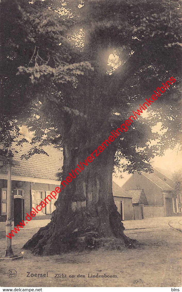 Zicht Op Den Lindenboom - Zoersel - Zoersel