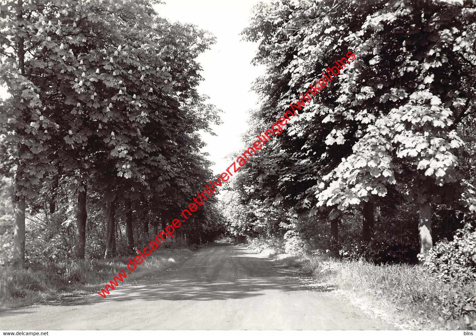 Sint-Antonius - Kroondreef - Toegangspoort Tot Het Domein Steynhoeve - Zoersel - Zörsel