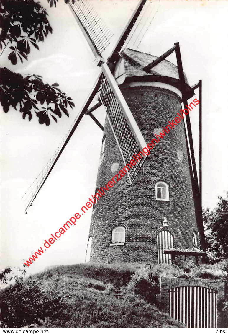 Gerangschikte Stenen Windmolen 1648 - Oelegem Ranst - Ranst