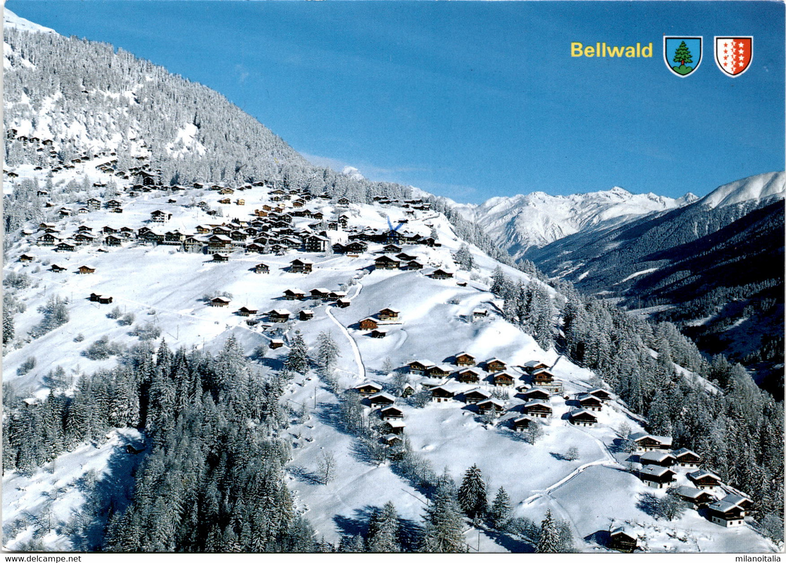Bellwald (43493) * 14. 2. 1996 - Bellwald