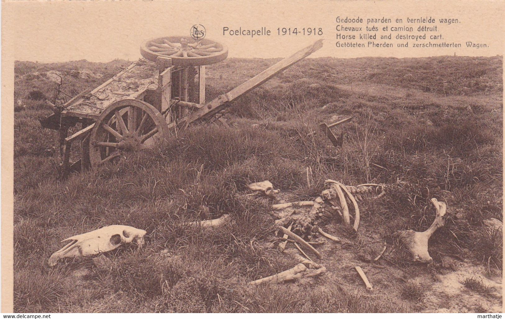 Poelcapelle 1914-1918 - Gedoode Paarden En Vernielde Wagen - Chevaux Tués Et Camion Détruit - Langemark-Pölkapelle