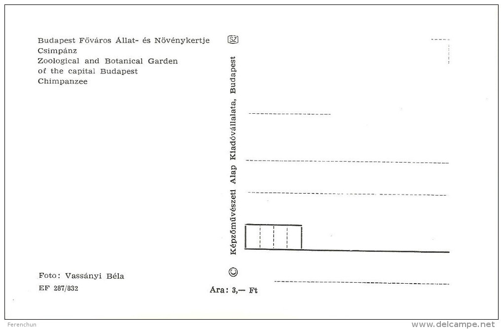 MONKEY * CHIMPANZEE * ANIMAL * ZOO & BOTANICAL GARDEN * BUDAPEST * KAK 0287 832 * Hungary - Monkeys
