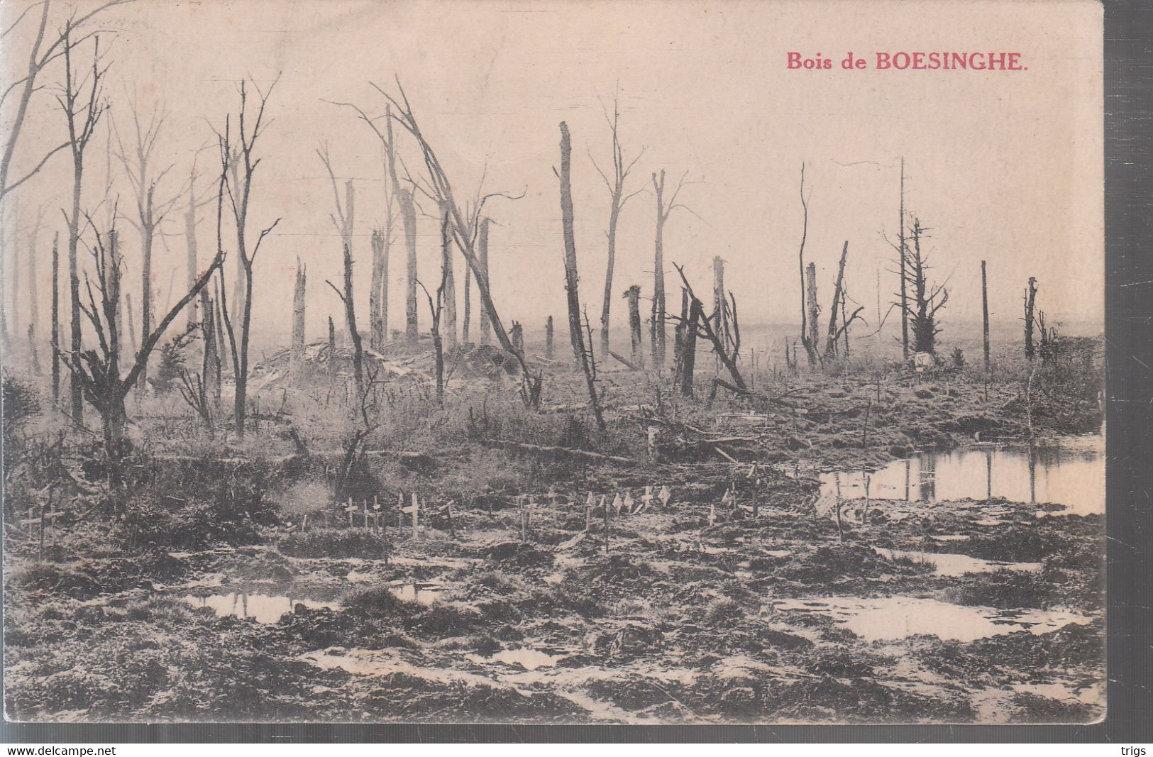 Boesinghe - Bois - Ieper