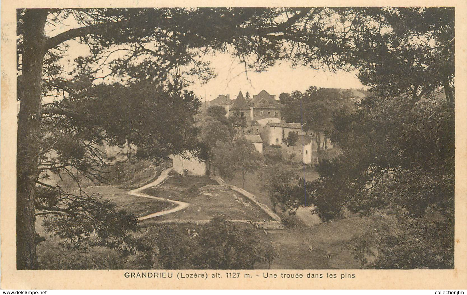 .CPA  FRANCE  48 "Gandrieu, Une Trouée Dans Les Pins" - Gandrieux Saint Amans