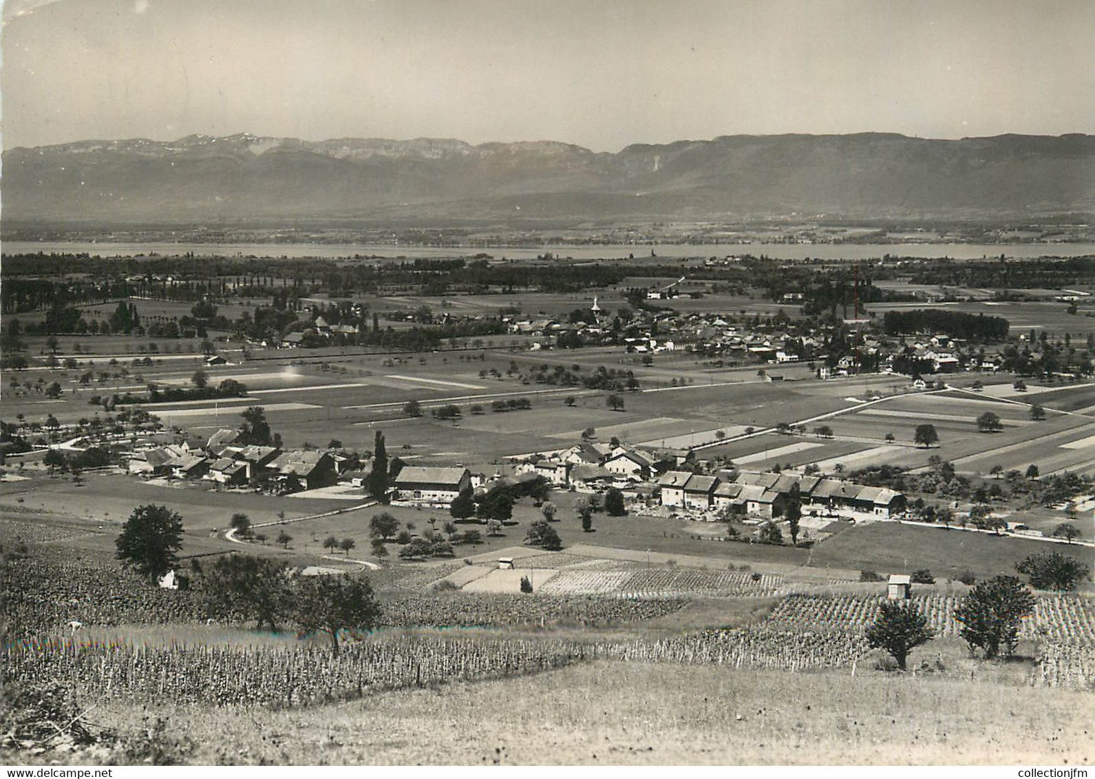 / CPSM FRANCE 74 "Vue Panoramique De Douvaine, Le Lac Léman Et Le Jura" - Douvaine