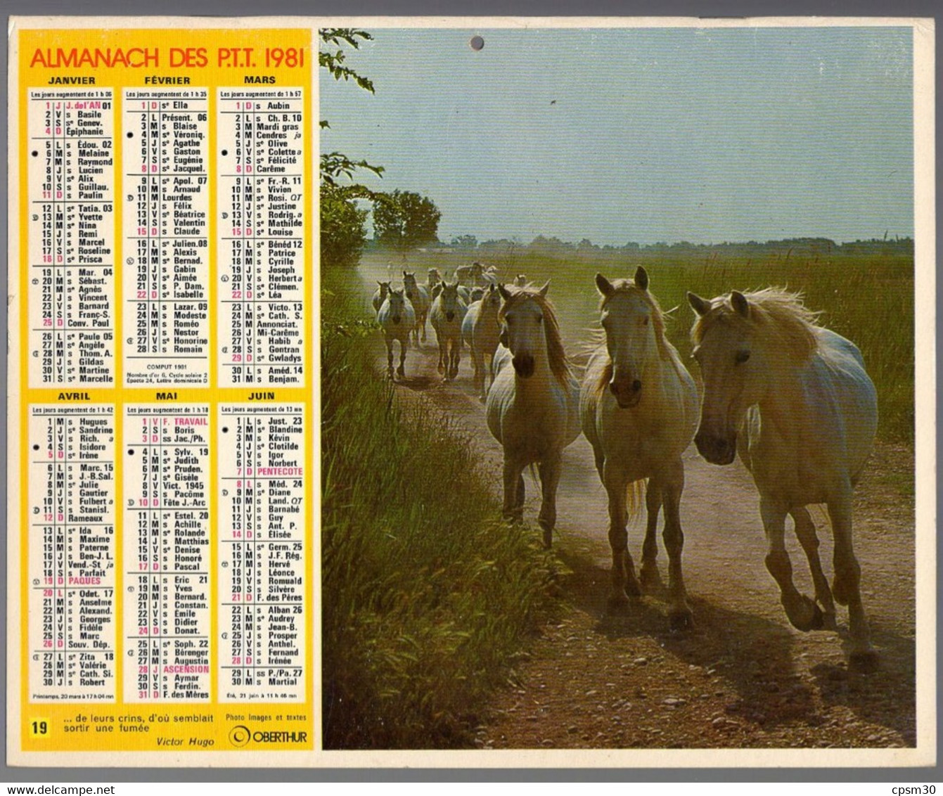 CALENDRIER GF 1981 - Chevaux De Camargue, Imprimeur Oberthur Rennes (calendrier Double) - Grand Format : 1981-90