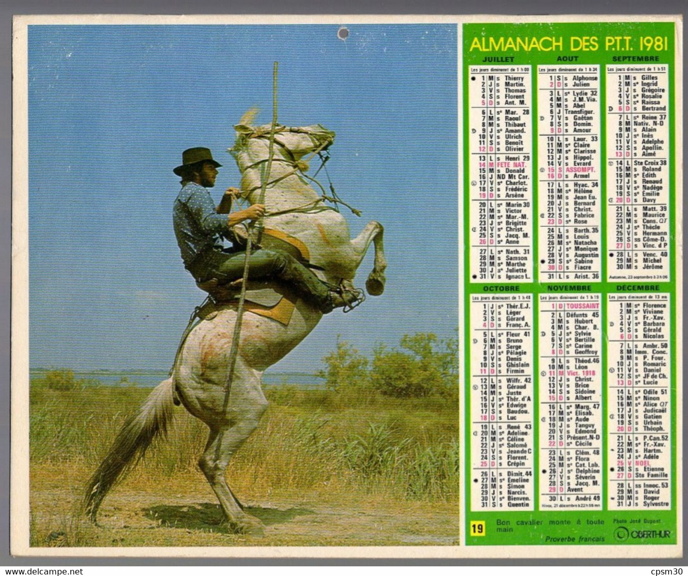 CALENDRIER GF 1981 - Chevaux De Camargue, Imprimeur Oberthur Rennes (calendrier Double) - Grand Format : 1981-90