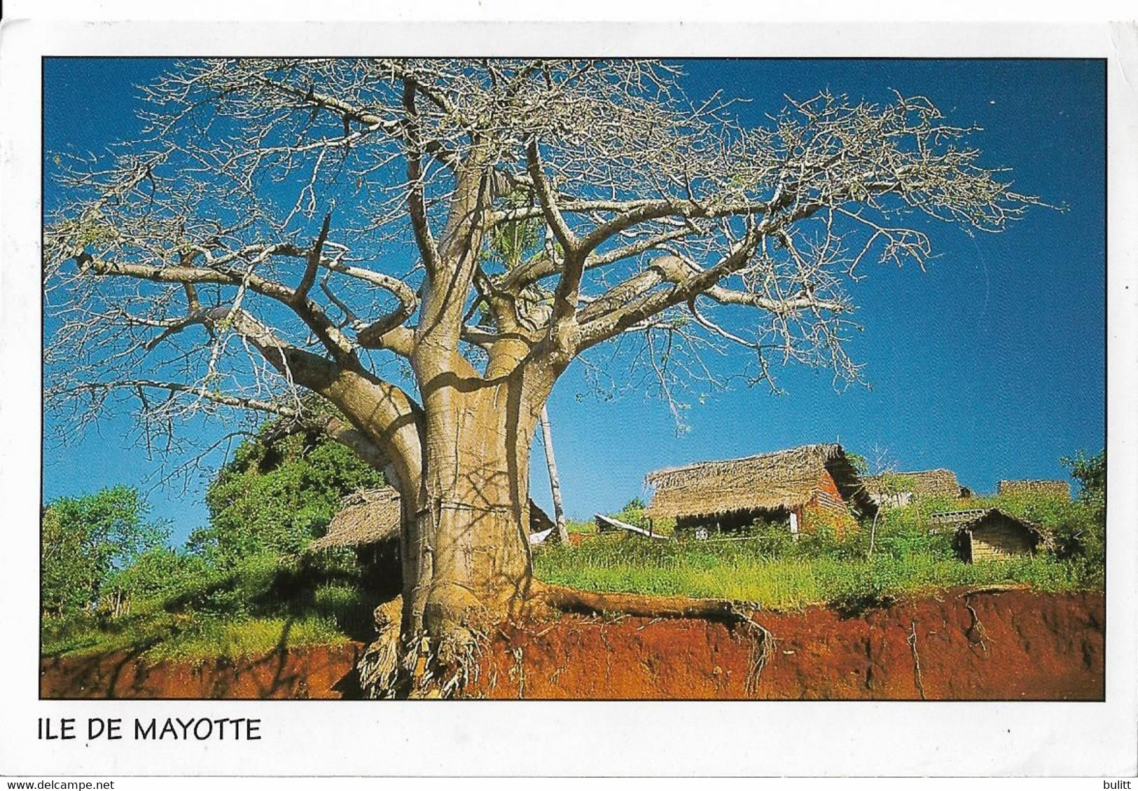 ILE DE MAYOTTE - Case Et Baobab - Mayotte