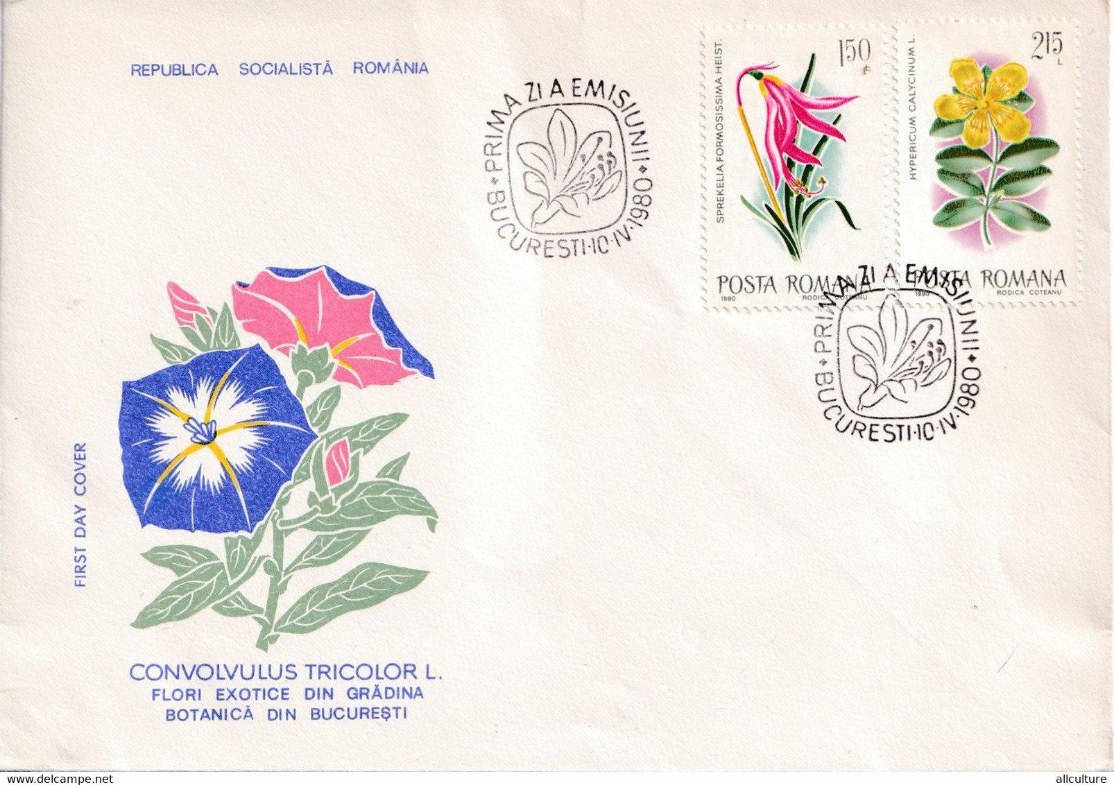 A2660- Convolvulus Tricolor L., Flori Exotice, Republica Socialista Romania, Bucuresti 1980 3 Covers FDC - Otros & Sin Clasificación