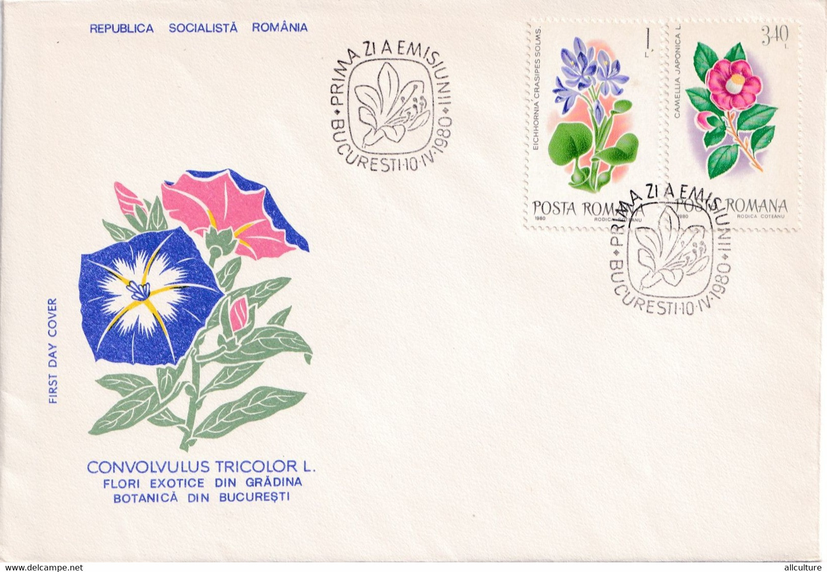 A2660- Convolvulus Tricolor L., Flori Exotice, Republica Socialista Romania, Bucuresti 1980 3 Covers FDC - Autres & Non Classés