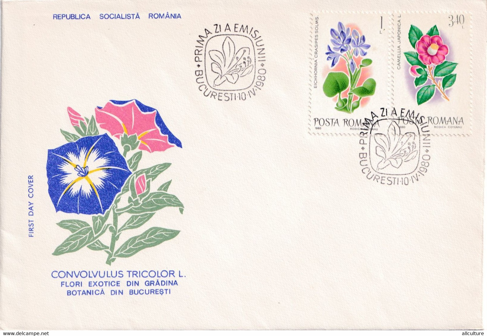 A2660- Convolvulus Tricolor L., Flori Exotice, Republica Socialista Romania, Bucuresti 1980 3 Covers FDC - Otros & Sin Clasificación