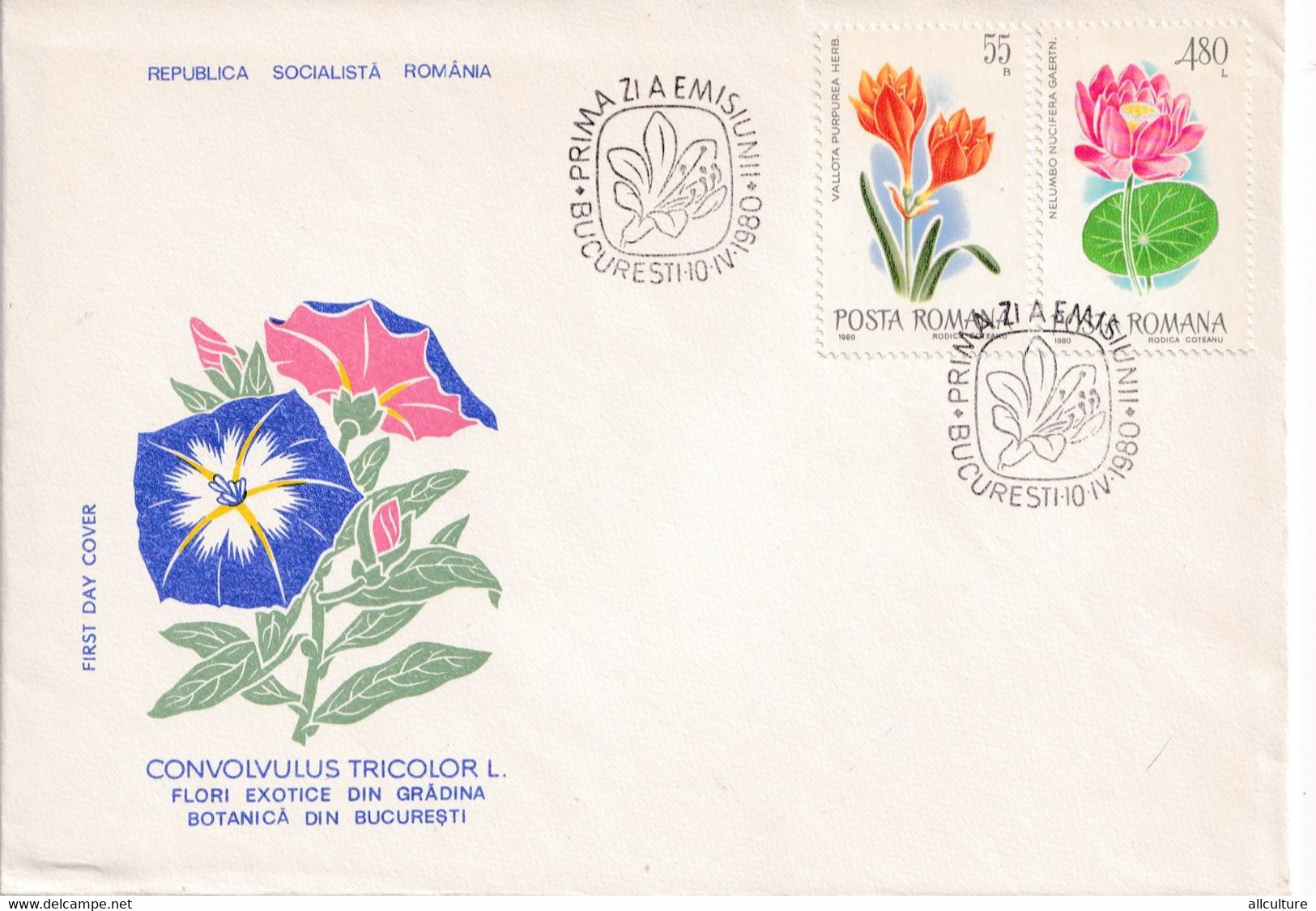 A2660- Convolvulus Tricolor L., Flori Exotice, Republica Socialista Romania, Bucuresti 1980 3 Covers FDC - Otros & Sin Clasificación