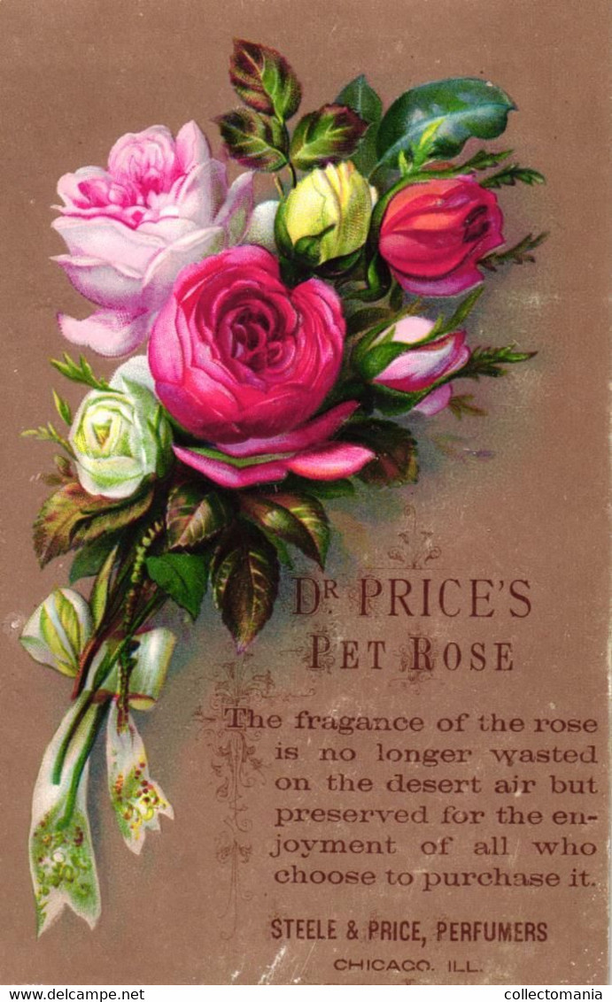 3 Cards Dr. Price's Unique Perfumes Steele&Price Perfumers Chicago & St. Louis - Antiguas (hasta 1960)