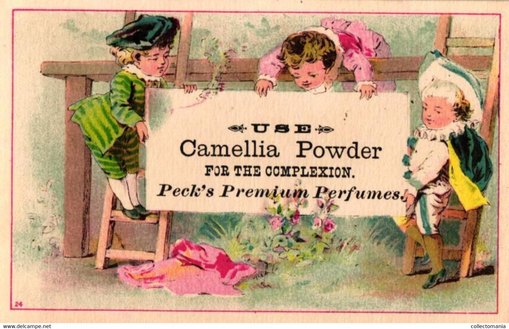 2 Cards Peck's Premium Perfumes Camillia Powder - Profumeria Antica (fino Al 1960)