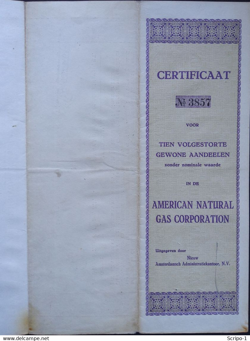 American Natural Gas Corp. Ned Cert. - Sonstige & Ohne Zuordnung