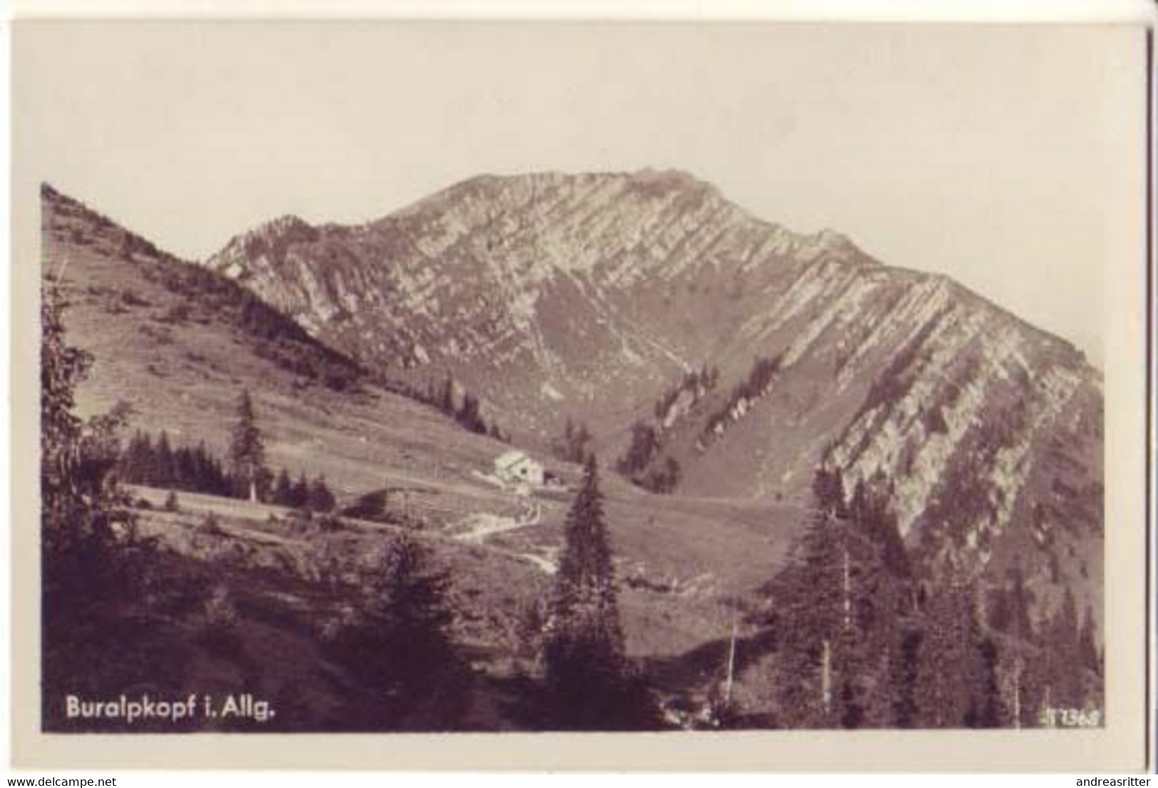 AK Oberstaufen Buralpkopf Allgäuer Alpen Ca 1930 (Al01) - Oberstaufen