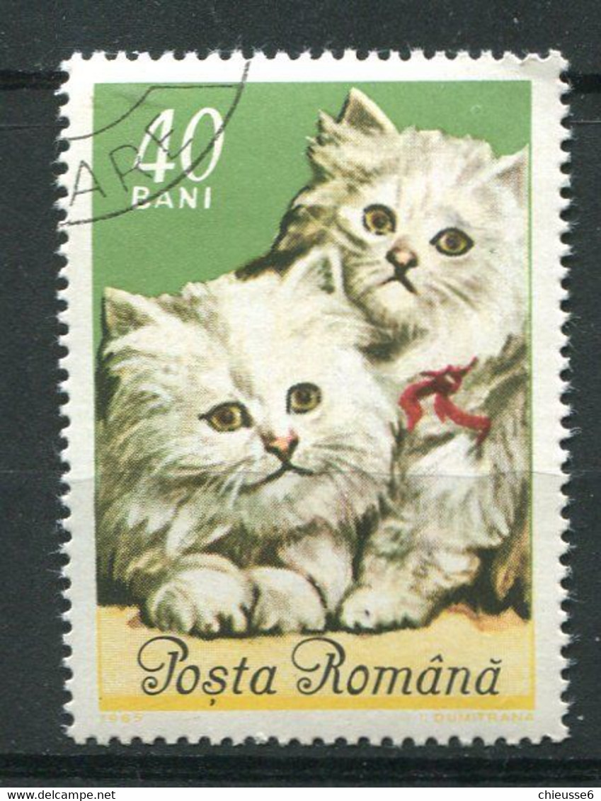 (CL 14 - P.49) Roumanie Ob N° 2112 - Chats Persan Blancs - Andere & Zonder Classificatie