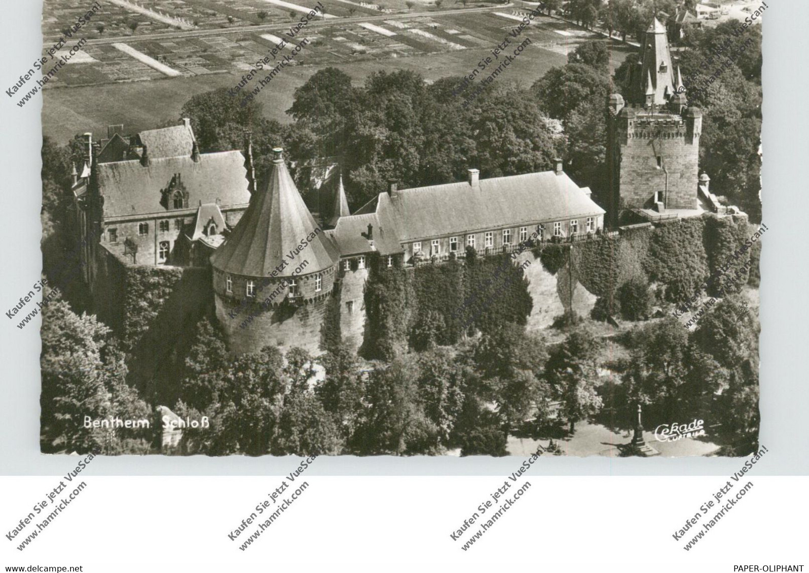 4444 BAD BENTHEIM, Schloss, Luftaufnahme, 1965 - Bad Bentheim