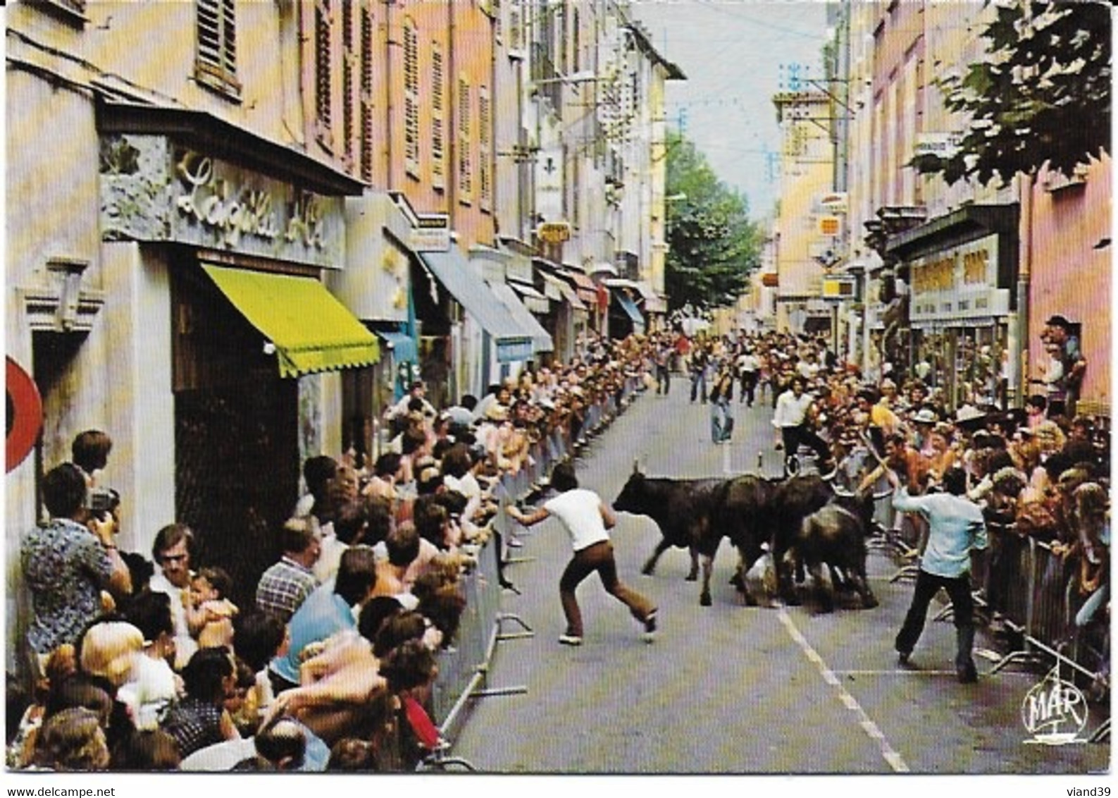 Fréjus - La Féria :lacher De Taureaux Dans La Ville - Frejus