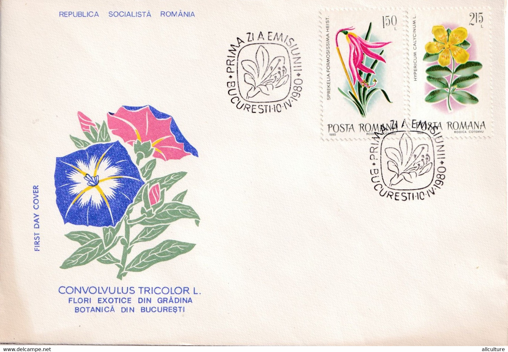 A2784- Convolvulus Tricolor, Flori Exotice Din Gradina Botanica Bucuresti, Rep. Socialista Romania, 1980 3 Covers FDC - FDC