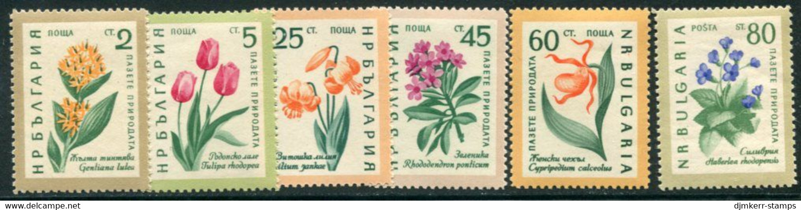 BULGARIA 1960 Flowers  MNH / **.  Michel 1164-69 - Neufs