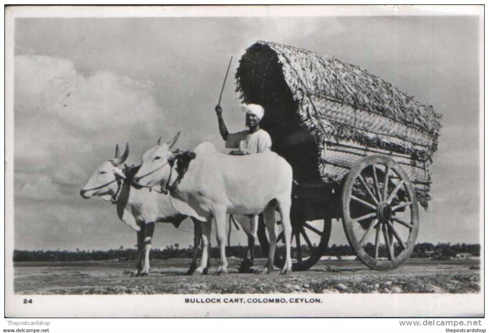 CPA  BULLOCK CART COLOMBO CEYLON SRI LANKA SS ORION MESSAGE MORE CEYLON SRI LANKA  LISTED @ 1 EURO OR LESS - Sri Lanka (Ceilán)