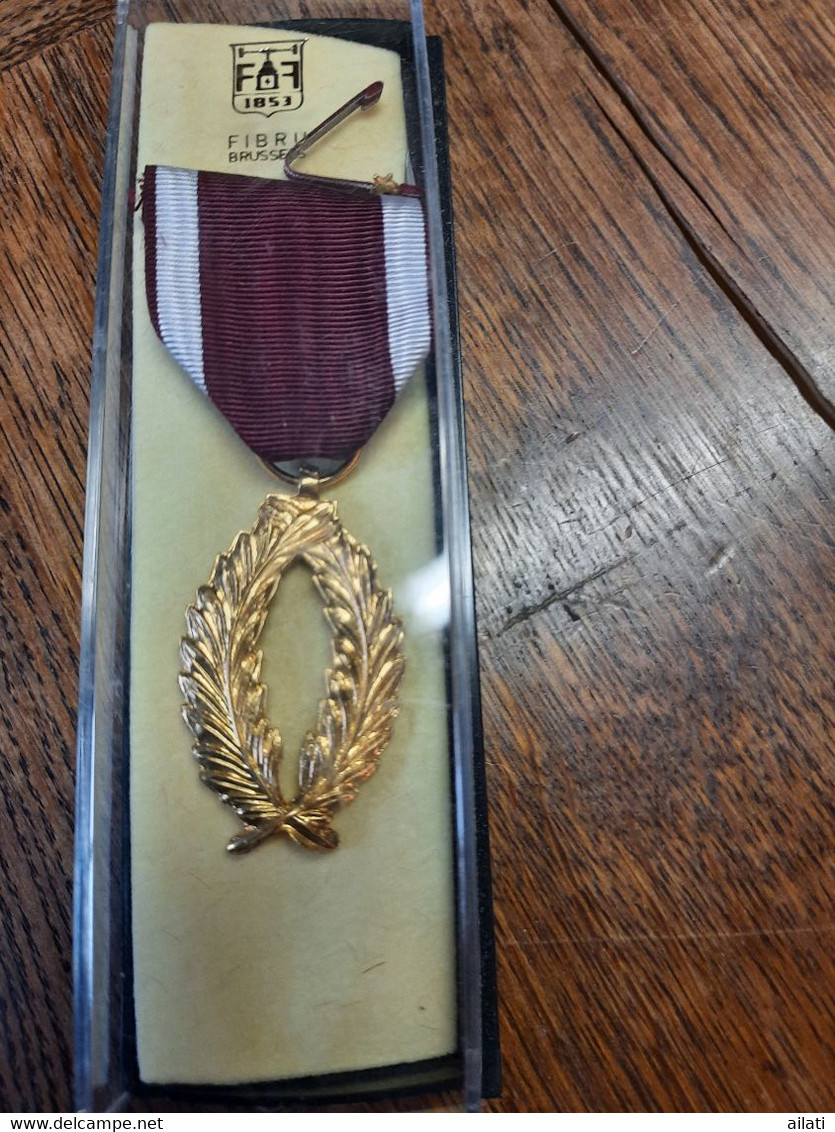 Une Médaille Belges Palm D'or - Professionali / Di Società