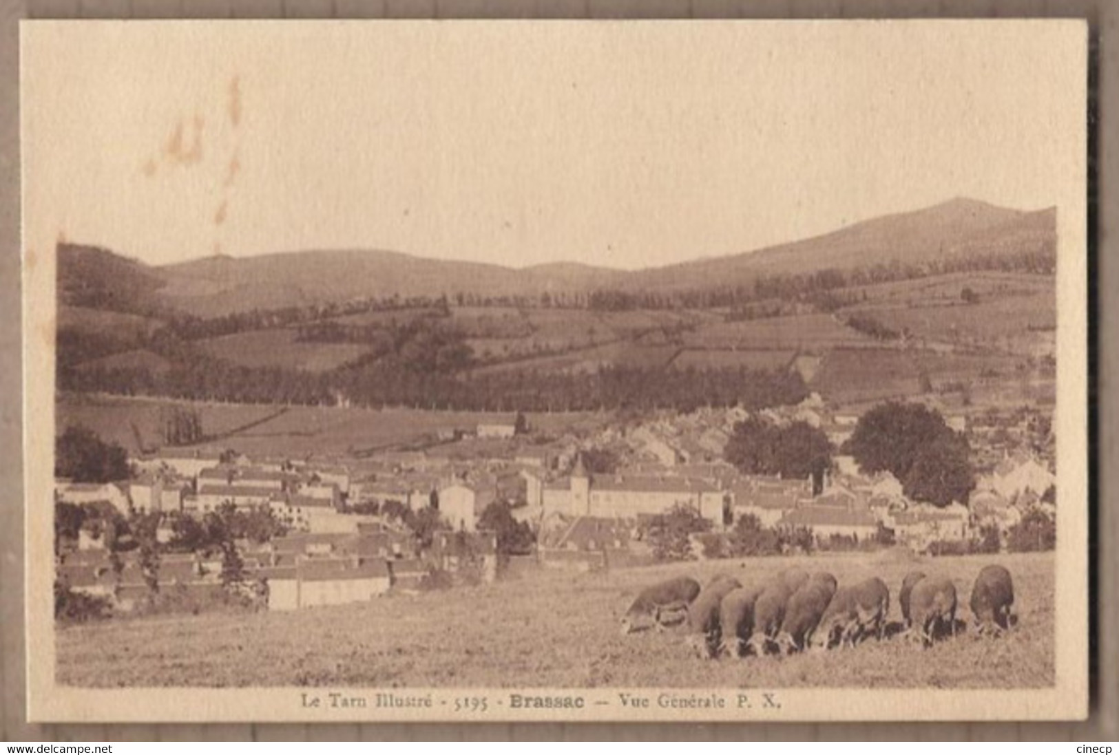 CPA 81 - BRASSAC - Vue Générale - TB PLAN D'ensemble Du Village - TB TROUPEAU MOUTONS 1er Plan - Brassac