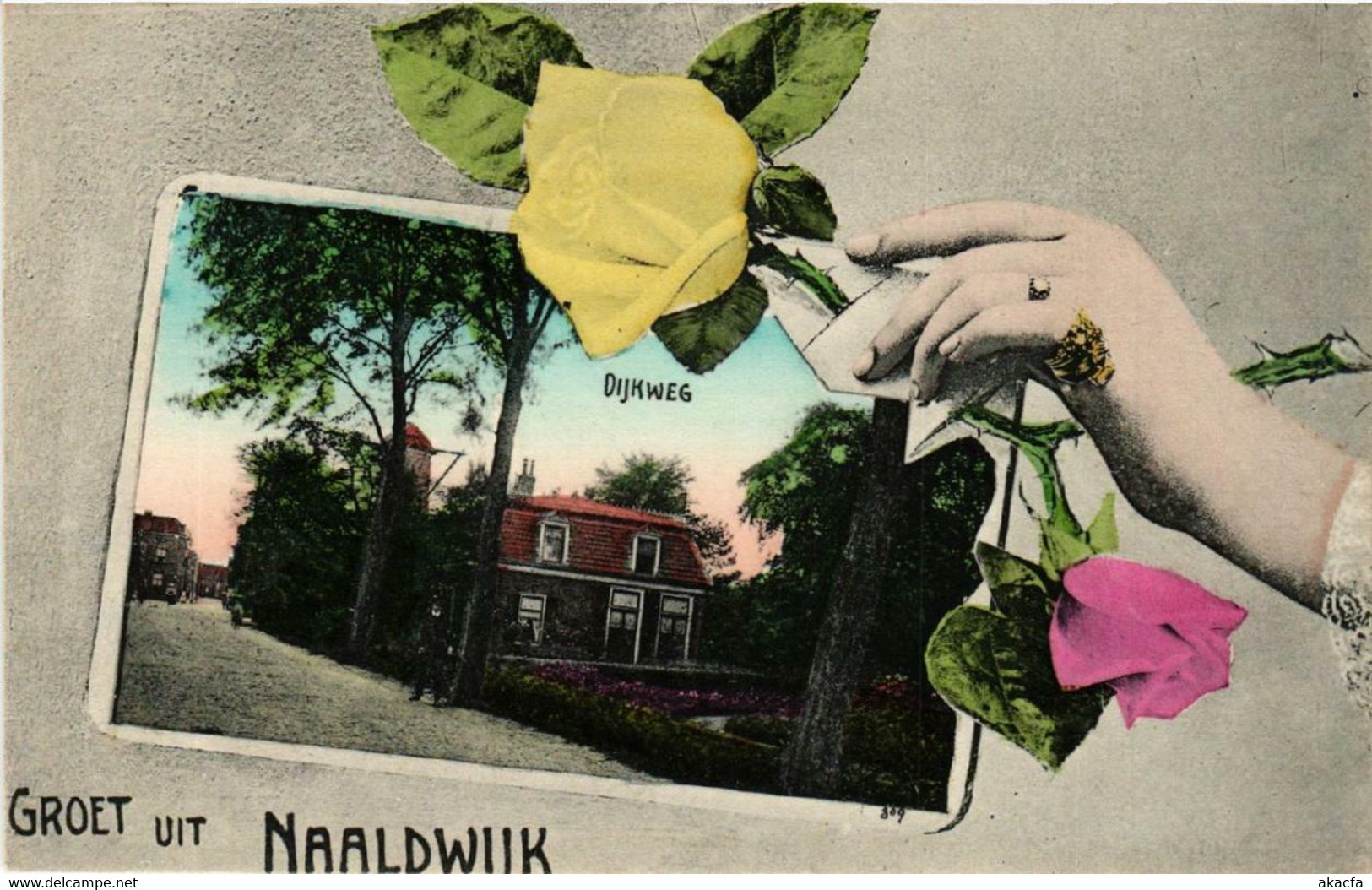 CPA AK Groet Uit NAALDWIJK Dijkweg NETHERLANDS (601952) - Naaldwijk