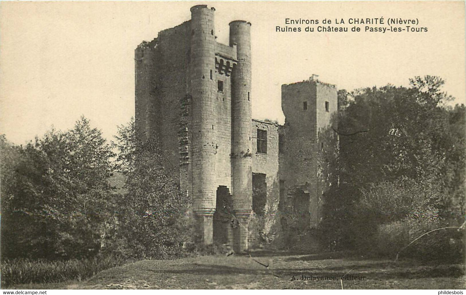 NIEVRE  LA CHARITE SUR LOIRE  Ruines Du Chateau De Passy Les Tours - La Charité Sur Loire
