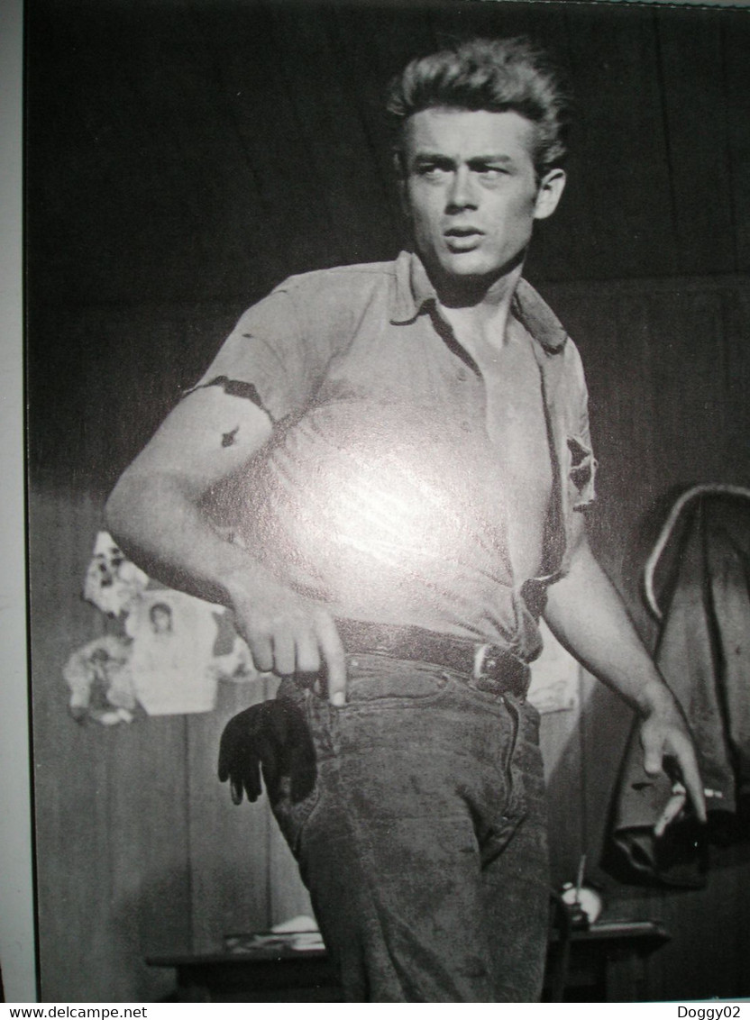 Livre Photos De James Dean - Fotografie